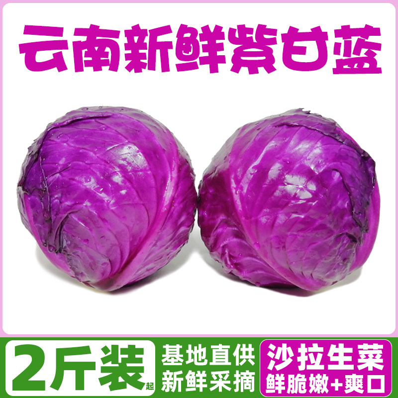 云南新鲜紫甘蓝9斤农家现摘卷心菜沙拉椰菜紫包菜批发蔬菜包邮5