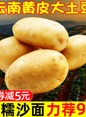 云南黄皮大土豆10斤整箱蔬菜洋芋