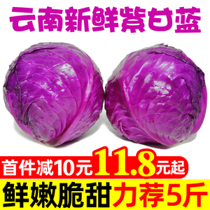 云南新鲜紫甘蓝9斤农家现摘卷心菜沙拉椰菜紫包菜批发蔬菜包邮5