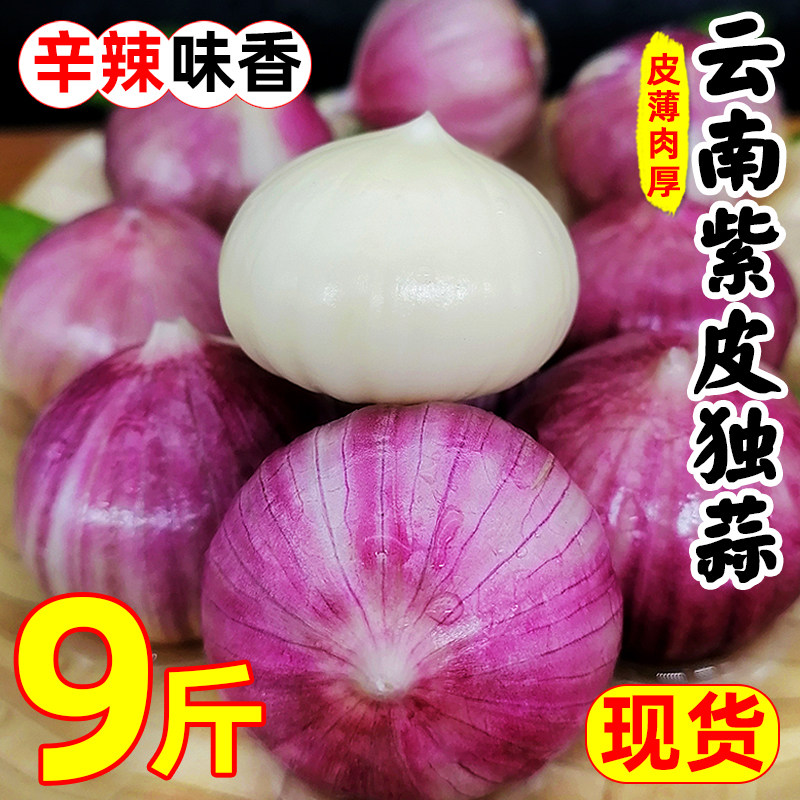 云南紫皮独头蒜9斤农家当季蔬菜独蒜头红珍珠大蒜湿蒜新干蒜包邮