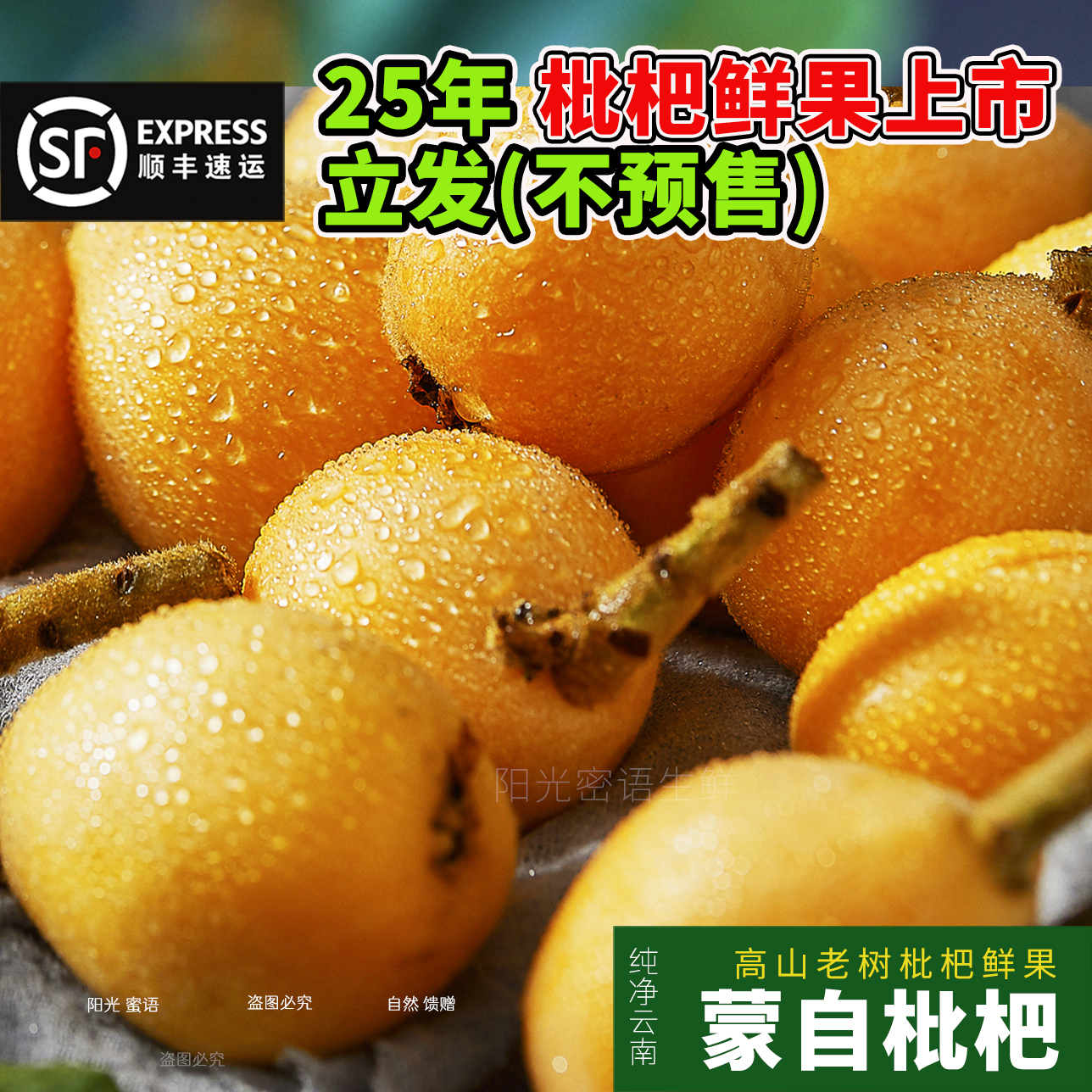 顺丰【现货】蒙自高山枇杷老树新鲜鲜果水果孕妇小孩琵琶当季现摘