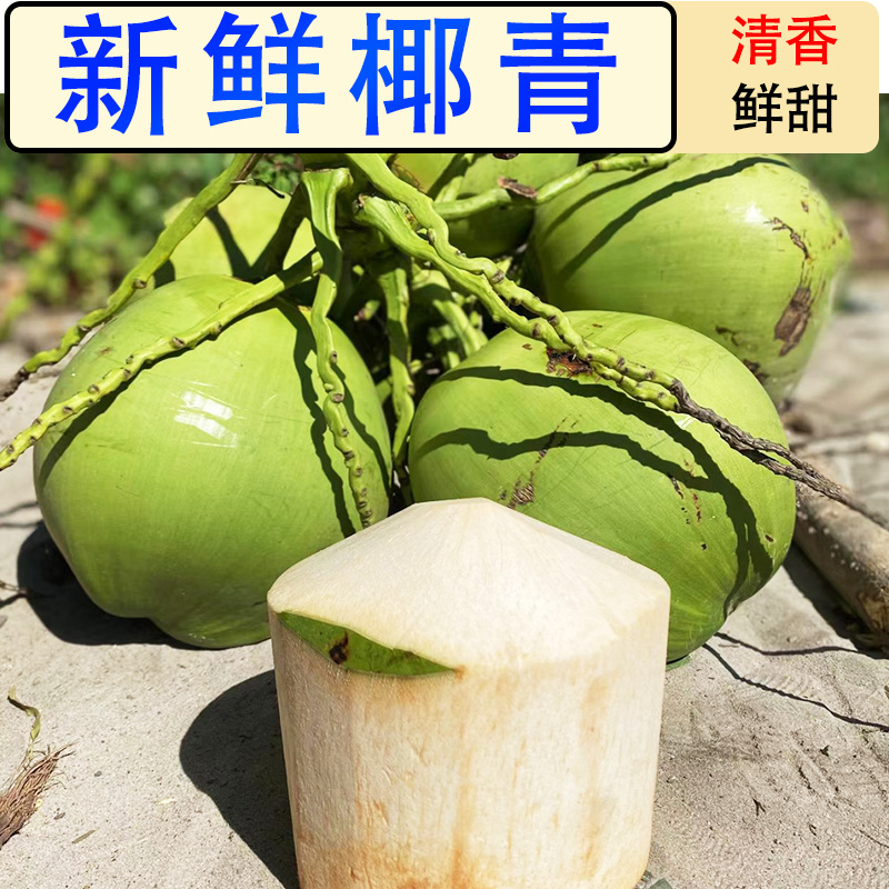 新鲜椰子椰青孕妇海南9个装甜生鲜水果当季整箱时令应季高端特产