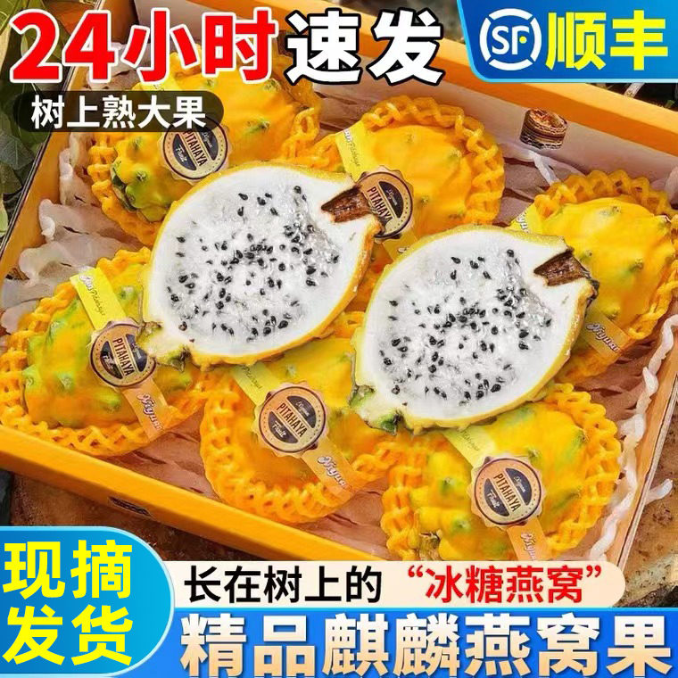 正宗品质就选官方原产地下单