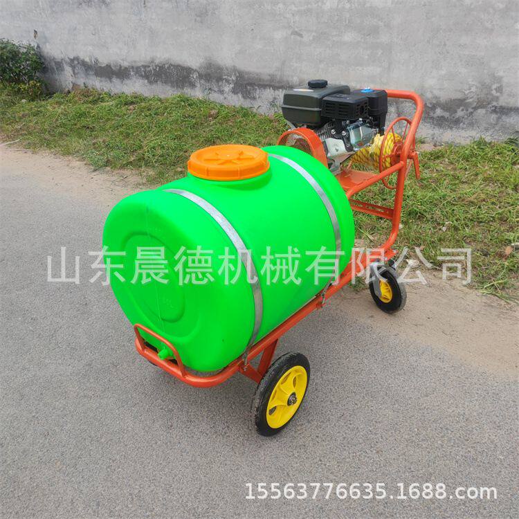 手推式汽油打药机 小型打药喷雾器大容量养殖场消毒机