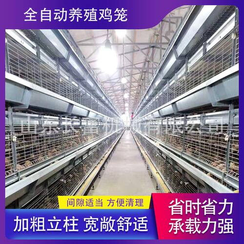 鹌鹑笼自动层叠式肉鸡A型笼半自动立体镀锌鸽子笼肉鸡H型笼蛋鸡笼