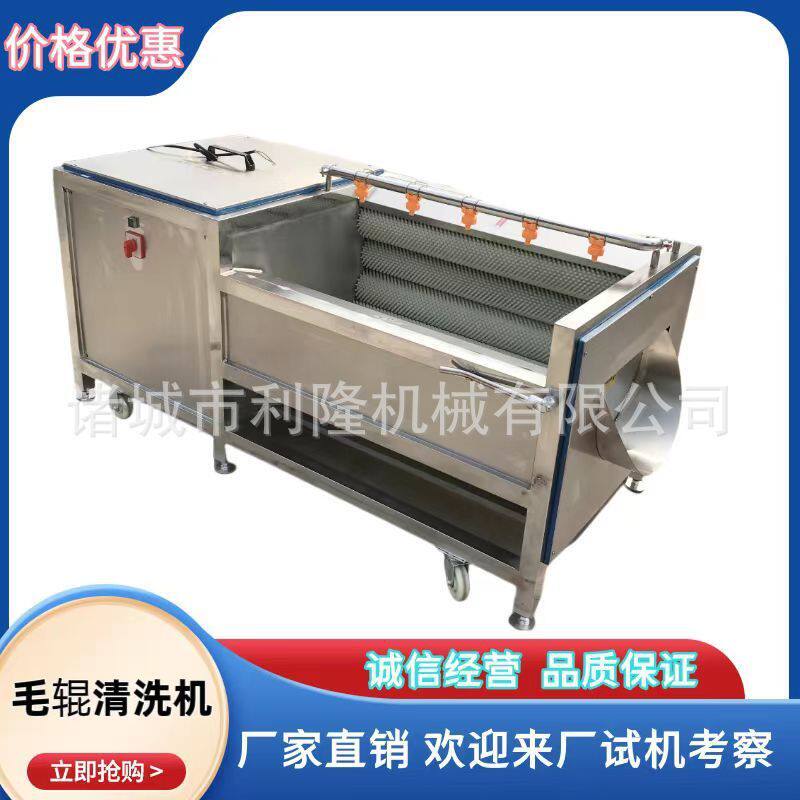 莲藕甜菜去泥清洗设备 海鲜花蛤贝壳去沙机器 土豆去皮毛辊清洗机
