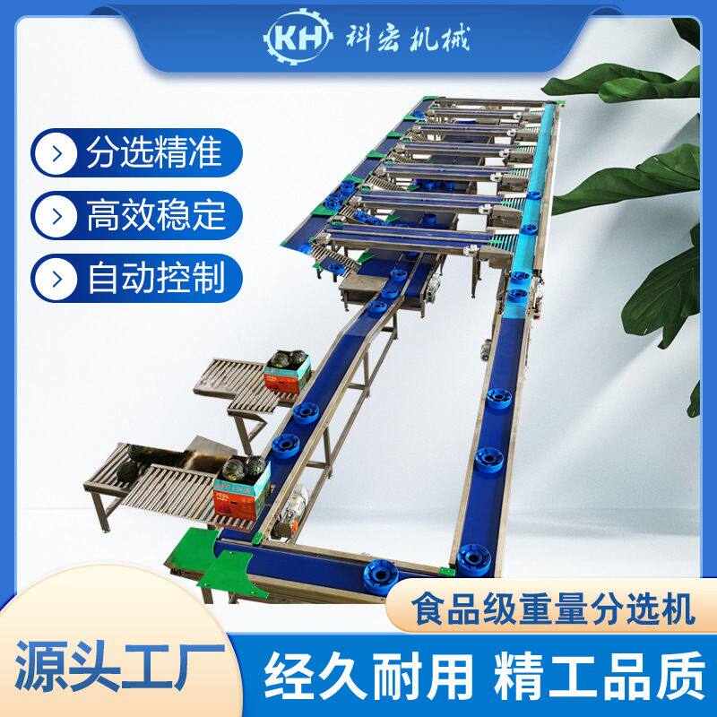 科宏机械无损式重量分选机菠萝西瓜哈密瓜甜瓜智能分选 重量分拣