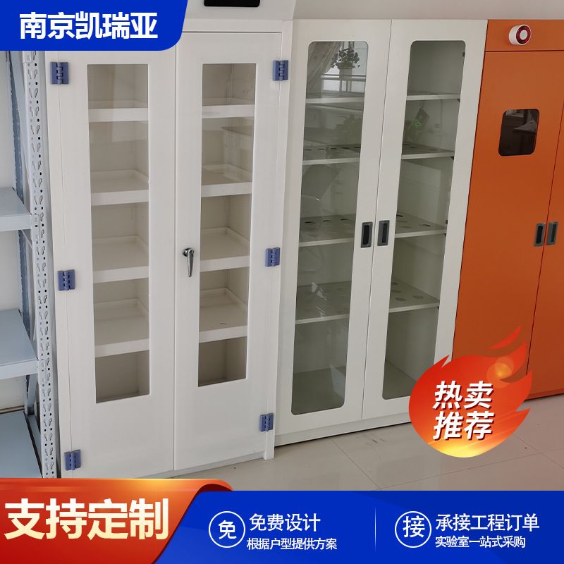定制PP试剂柜全钢双人双锁药品柜化学实验室医院通风铝木器皿柜