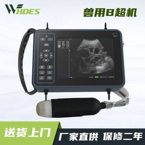 兽用B超机羊牛用测孕仪器猪用b超机畜牧b超机高清便携检孕仪