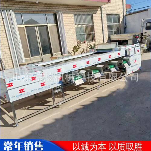 商用千禧果蜜桔分级筛选机 工业地瓜滚杠式筛选机 大型青芒选果机