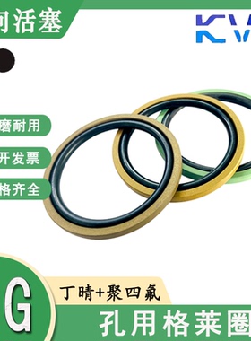 GSF活塞格莱圈STD双向封PG-720*9.5/730*9.5/470*9.5/750*9.5四氟