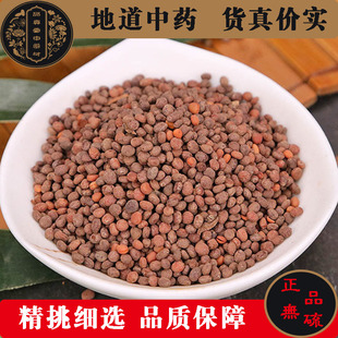 中药材急性子500克包邮凤仙花子指甲花籽指甲花籽新货无硫