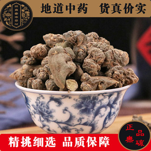 中药材野生夏天无一粒金丹粉500g包邮野延胡飞来牡丹伏地落水珠用