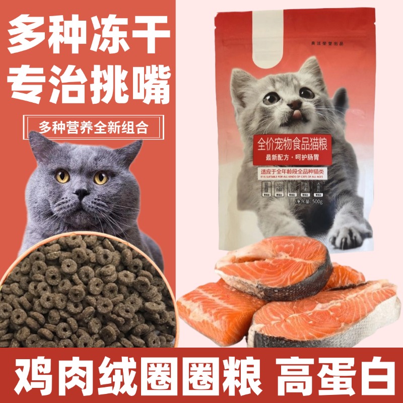 增肥发腮鱼味哺乳期英短1斤幼猫