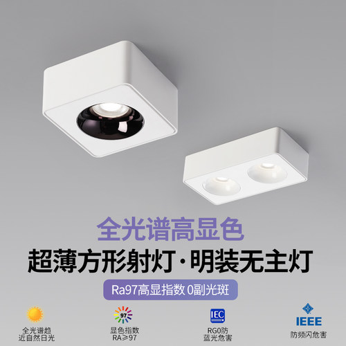 双头明装斗胆灯全光谱超薄筒射灯