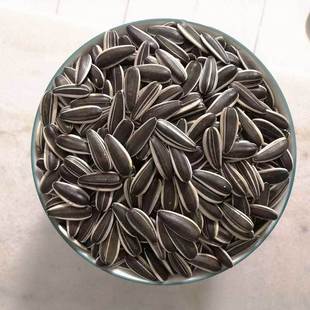 炒制葵花籽瓜子黑白色条纹便携零食坚果炒货