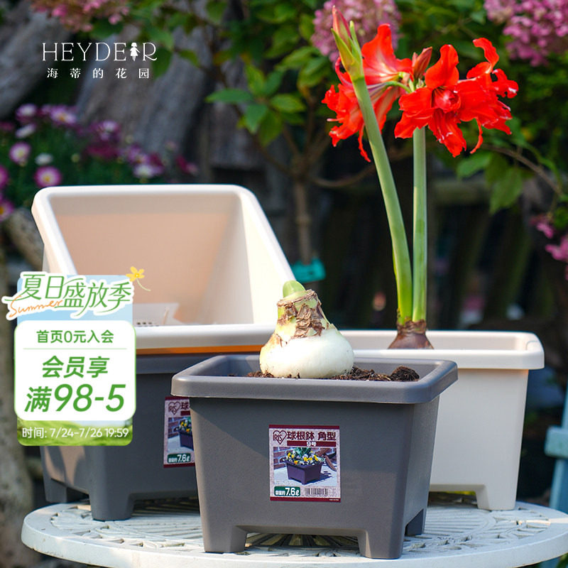 海蒂的花园爱丽思花盆种球球根树脂塑料花盆家用栽种方形花盆