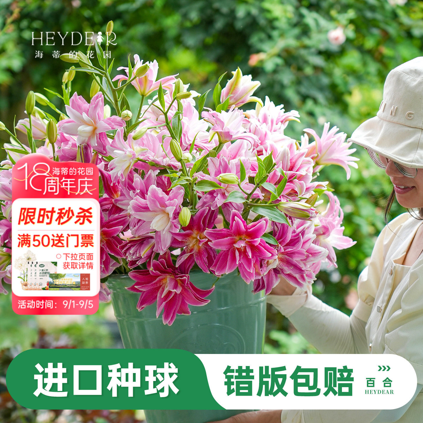 进口百合种球易养易开花图片