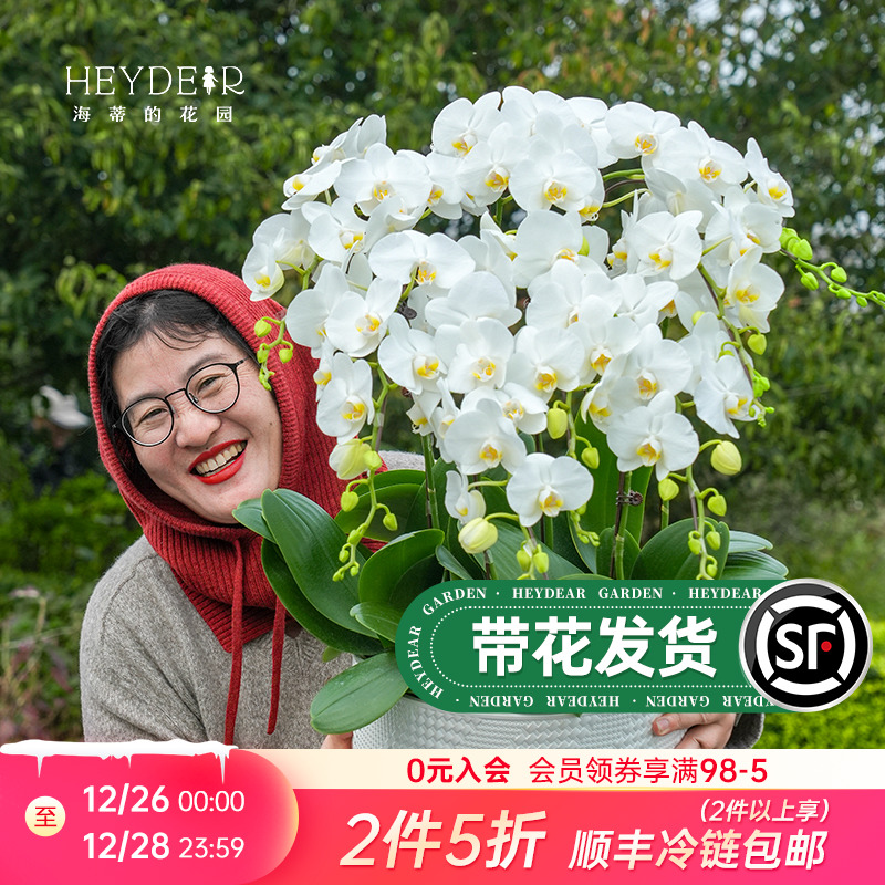 ٵĻ԰󻨺Դڻ籦ʵ36.6Ԫ,ۺ18.3/