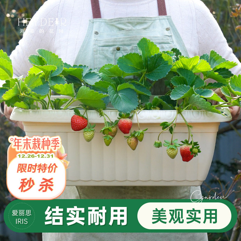 海蒂的花园旗舰店爱丽思长条花纹花盆家用庭院阳台种花种菜专用箱