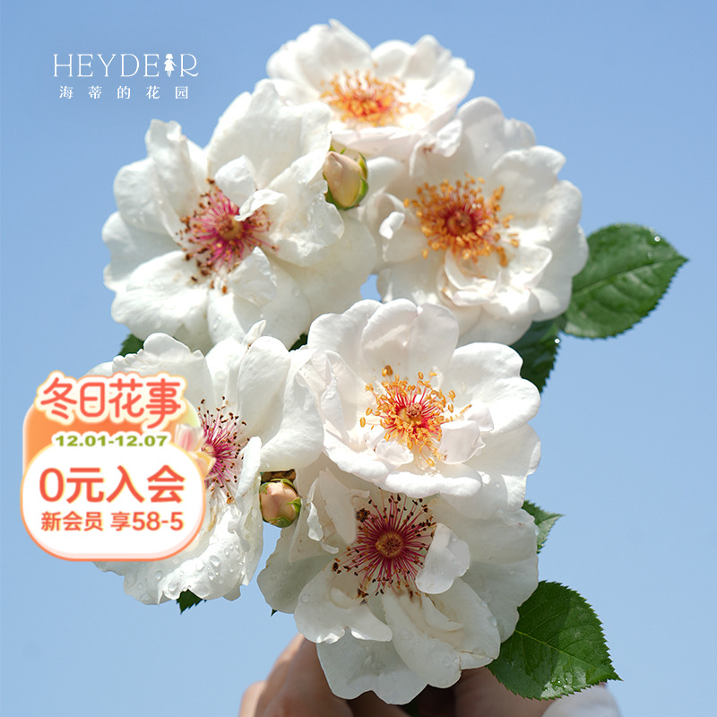 ٵĻ԰콢ܿնٹľ¼Ųֲ̛́    22.4Ԫ