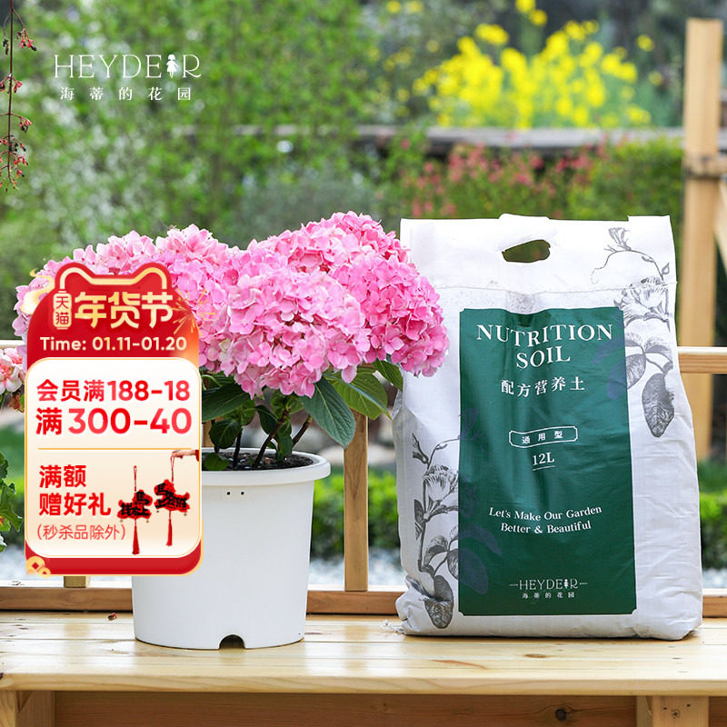 海蒂的花园旗舰店月季绣球蓝莓百合种球小苗换盆套餐养花种菜通用,鲜花速递/花卉仿真/绿植园艺,花盆,淘宝优惠券,粉丝福利购,淘宝优惠卷