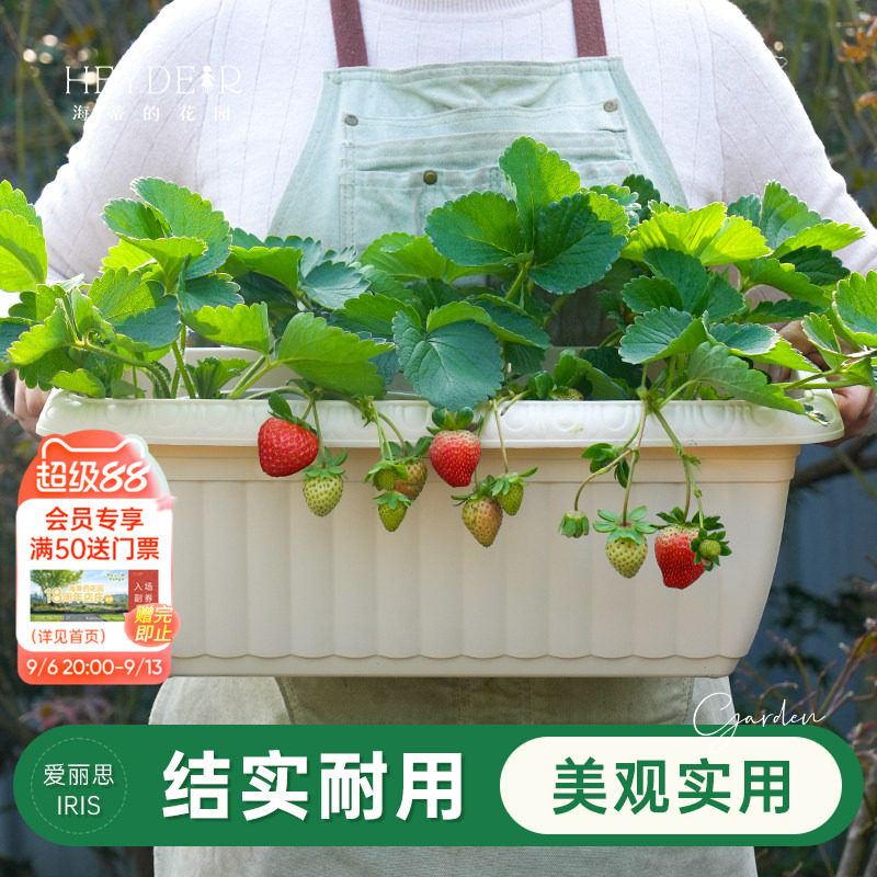 海蒂的花园旗舰店爱丽思长条花纹花盆家用庭院阳台种花种菜专用箱
