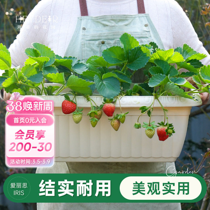 海蒂的花园旗舰店爱丽思长条花纹花盆家用庭院阳台种花种菜专用箱