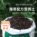海蒂 花园旗舰店营养土养花种菜草莓专用土花卉绿植蔬菜盆栽通用