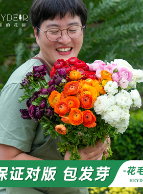 海蒂的花园旗舰店花毛茛种球进口阳台庭院盆栽地栽球根多年生植物