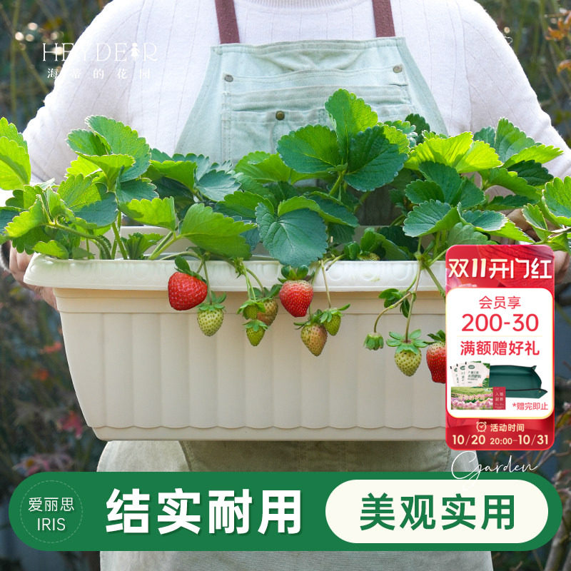 海蒂的花园旗舰店爱丽思长条花纹花盆家用庭院阳台种花种菜专用箱