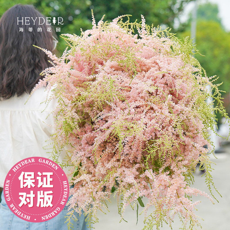 海蒂的花园旗舰店进口落新妇裸根块根多年生耐阴花卉盆栽庭院植物,鲜花速递/花卉仿真/绿植园艺,种球/裸根,淘宝优惠券,粉丝福利购,淘宝优惠卷