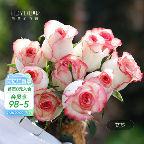 新手易种月季推荐，多季节开花，开花对版