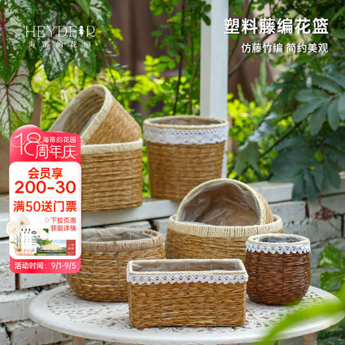 海蒂的花园旗舰店塑料仿藤编花篮蝴蝶兰长寿花创意园艺装饰套盆