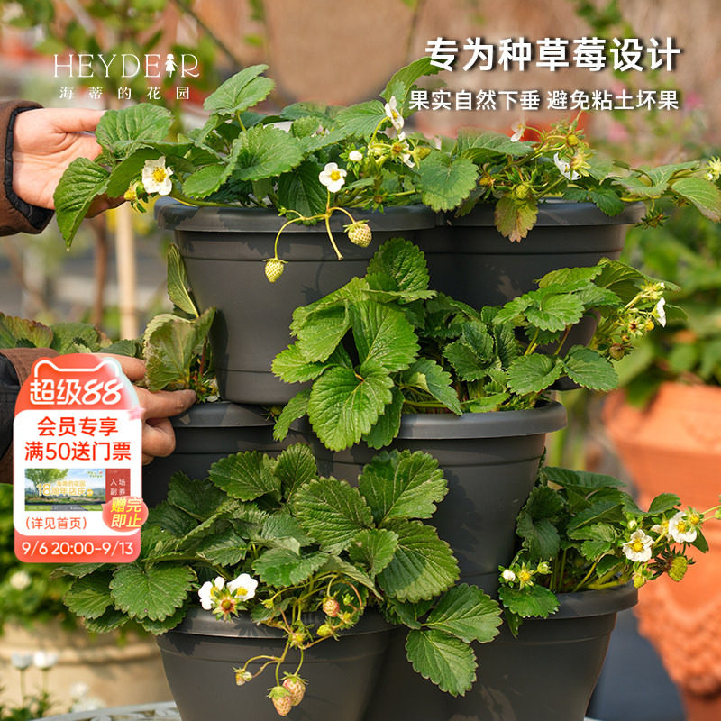 海蒂的花园环球星格尔组合草莓盆创意立体塑料花盆种花种菜种草莓