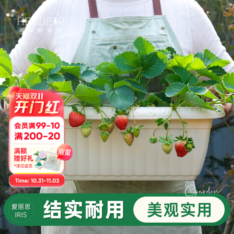 海蒂的花园旗舰店爱丽思长条花纹花盆家用庭院阳台种花种菜专用箱