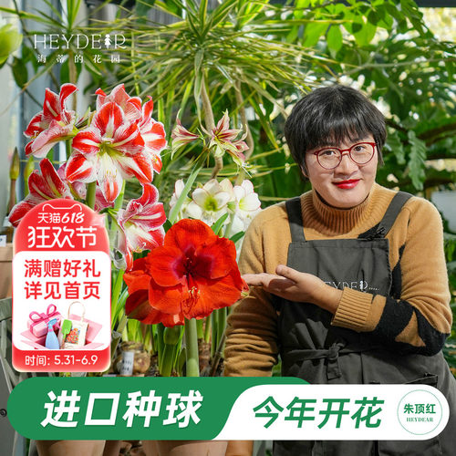【小红书博主推荐新手种球】