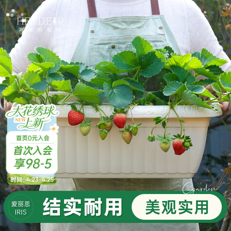 海蒂的花园旗舰店爱丽思长条花纹花盆家用庭院阳台种花种菜专用箱