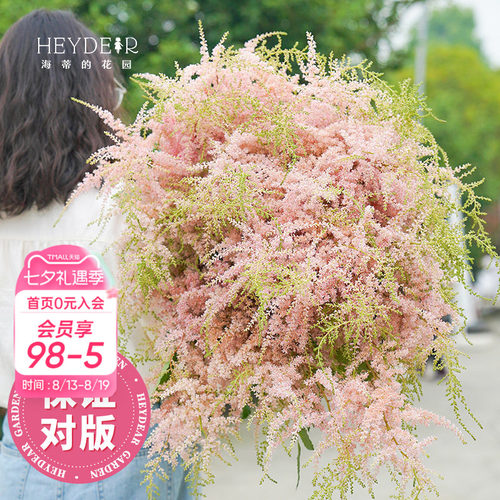 海蒂的花园多年生植物进口落新妇