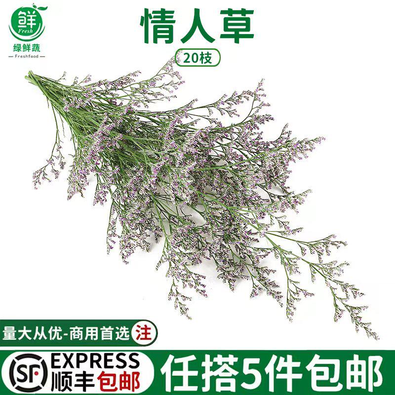 新鲜情人草10g 非薰衣草中餐西餐摆盘菜装饰餐饮摆盘鲜花草点缀花