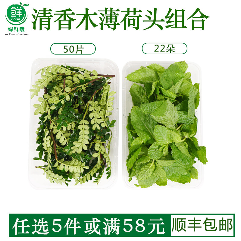 新鲜清香木叶子胡椒木薄荷头组合饮品装饰点缀西餐蛋糕摆盘叶子