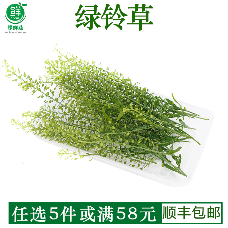 新鲜绿铃草日料冷菜摆盘蛋糕烘焙水晶草西餐酒店酒水装饰点缀花草