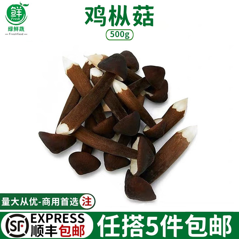 鸡纵菇新鲜黑皮鸡枞菌火锅食材云南食用菌菇鸡棕菇500g煲汤蘑菇