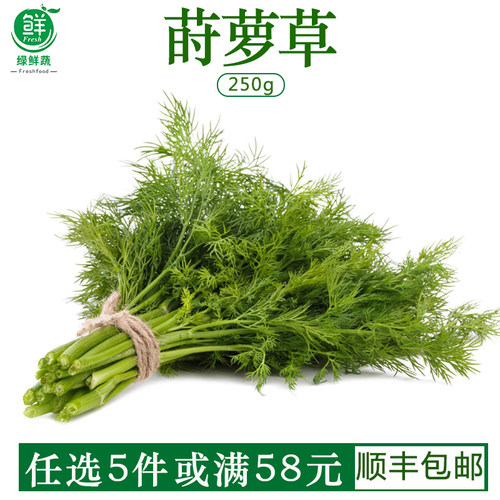 刁草新鲜莳萝草食用泰式西餐香料菜土茴香调味调料西餐酒店摆盘