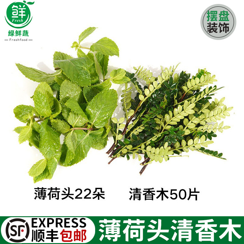 新鲜清香木叶子胡椒木薄荷头组合饮品装饰点缀西餐蛋糕摆盘叶子