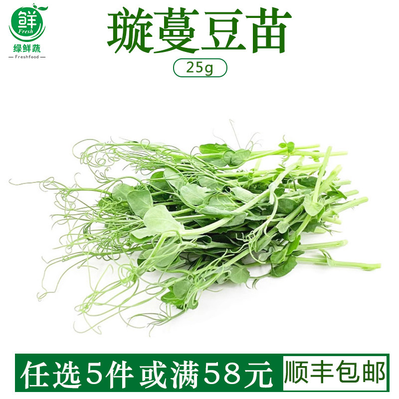 新鲜水培璇蔓豆苗食用芽苗菜西餐冷饮摆盘装饰素食沙拉食材豌豆苗