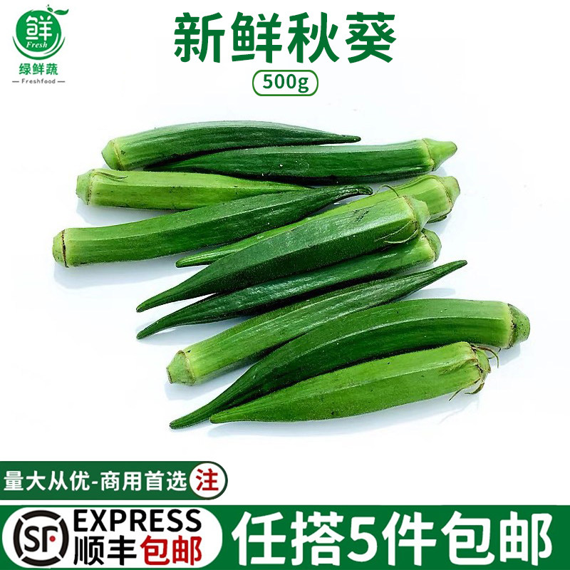 新鲜秋葵 水果黄秋葵六角羊角豆当季新鲜采摘农家蔬菜凉拌食材