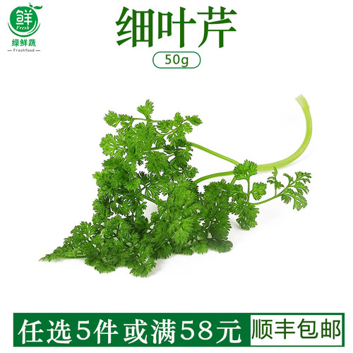 新鲜细叶芹100g西餐香料摆盘食用香叶芹有喙 欧芹山萝卜叶茴芹