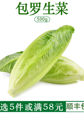 新鲜包罗生菜包心罗马罗纹凯撒包心西餐蔬菜沙拉生菜绿色500g