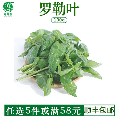 罗勒叶新鲜食用泰式冬阴功汤食材披萨草罗勒青酱西餐调味香料蔬菜